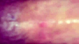 Willy and Jesse Team Up with Matthew for Wild Action!