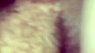 Willy and Jesse Team Up with Matthew for Wild Action!