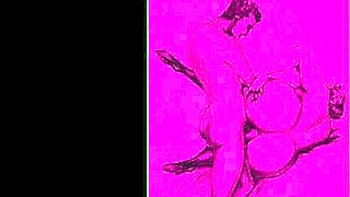 Vintage erotic illustration from retro times