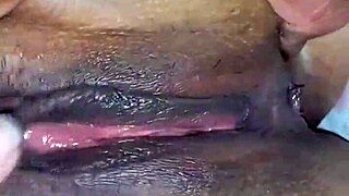 Recopilaci�n De Mi Wife