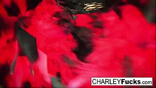 charley chase wears some sexy lingerie and stockings
