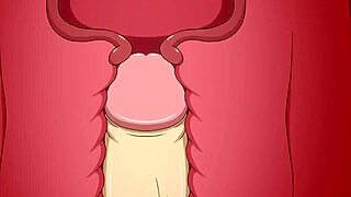 hentai anime collection