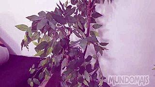 O Passivo Era Ativo in Gay Orgy Group