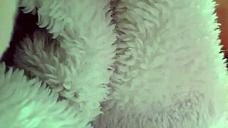 wow, mature pornstar with big tits takes monster cock in anal