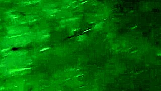 first i invited my neighbor to admire the flowers and then i fucked her in the mouth - girls fly orgasm