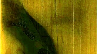 Desene erotice vintage