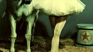 Ever seen vintage erotic animation this wild?