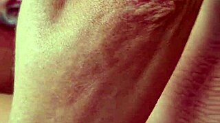 Alineflavio shares update 138 from August 24, 2024