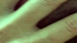 Alineflavio shares update 138 from August 24, 2024