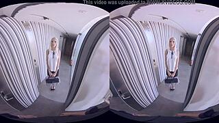 Virtual Doorstep Seller In 3D