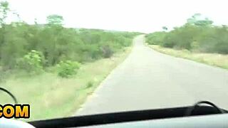 Nympho African Girlfriend Sucks My White Cock After Safari!