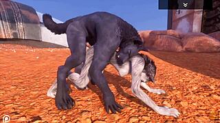 Alpha Wolf Eats Tasty She-Wolf In Wild Life