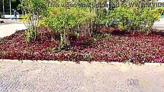 Tourist Matches with Clara Lady Snow in Brasil Hentai