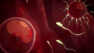 Have you seen this anime saimin seishidou where the characters get hypnotized and fucked?