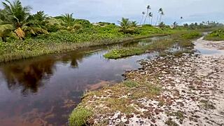 Hell Yeah! Wild Hentai Action in Bahia Swamp!