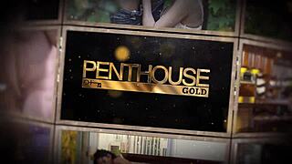 celeste star licks dani daniels' toes while her pussy gets attention.