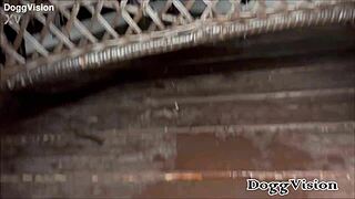 my first bareback creampie with a big black cock in missionary