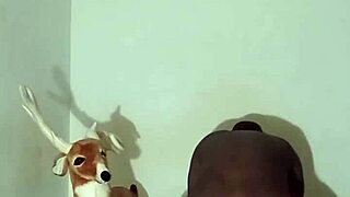 More ways to show zodiac patience.