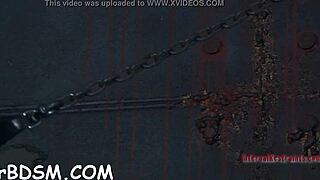 Inflicting Pleasure On Babe's Slit In Slut Contest Fucking Oral Game