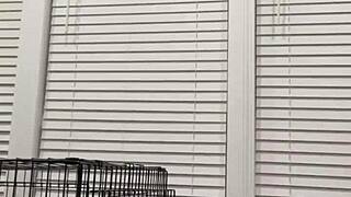 Hey Cruella, Craving That BBC Deep Inside Again?