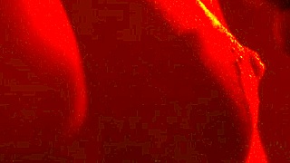 this clit licker feels like a real tongue on my pussy, making me moan as i lick my pussy lips close-up with toys - honeyplaybox