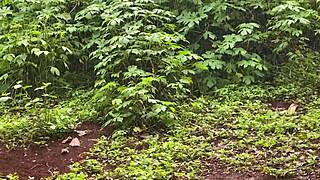 Loirinha Gostosa Dano Cusinho Escondida Sex Toy