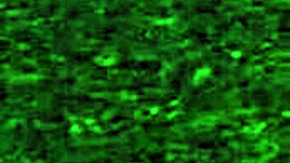 i explore paradise trails vr outdoors with redhead