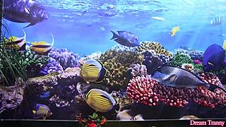 Sexy tranny marcelle herrera rides rubber dildo