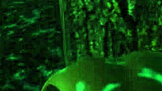 i explore paradise trails vr outdoors with redhead