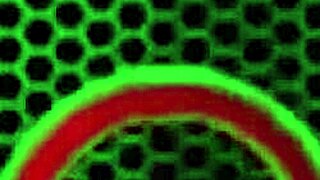 what a mess miles longs cum so hard inside silvia saiges mouth