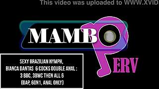 Bianca Dantas Takes 6 Cocks in Anal Gangbang
