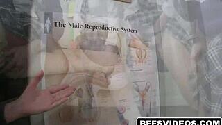 charming petite 18+ blonde ladies crave huge manhood in hardcore hood action