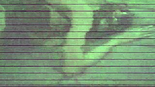 What A Day For This Porn Producer! BDSM Classes With Jaxrton Wheeler!