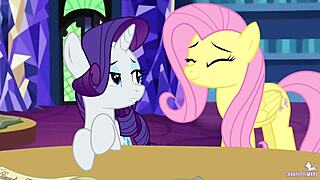 Canaryprimary discusses non-aggression pact