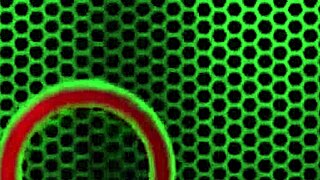 Petite pornstar marcia hase collaborates with rome majors in a mature scene