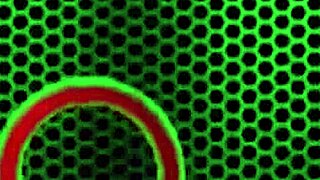 Darcie Dolce Poses For The Camera