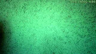 babe tries on panties and thong, shaking her big ass while teasing with pussy lips in free video