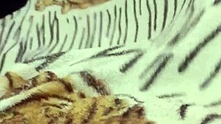 I Love Masturbating Before College!