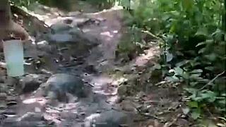 friends explore the woods together