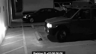 Damn! Slut Blows Security Guard Hard to Dodge Outdoor Fine!