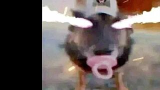 osu standard play mashup with athletic themes