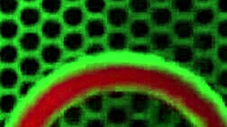 i puts that dildo between my massiv tits, feelin so gud