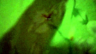 Delhi girlfriend's personal tape