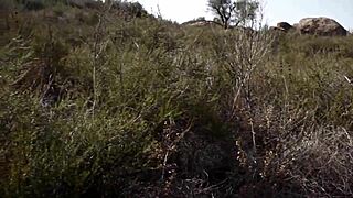 outdoor arabic fucking gets passionate 😍