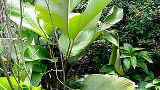 linda jovencita from comuna teaches her customs to you