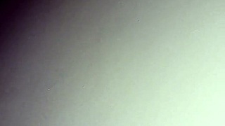 De Quatro No Cuzinho Ao Som Do Funk