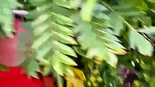 Does This BBW Latina Neighbor's Cameltoe Show While Picking Fruits Publicly?