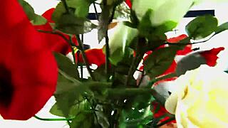 Does Jane Strip and Get Fucked Hard?