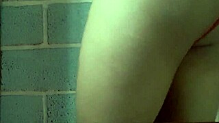 Modeling my wife's lingerie and panties