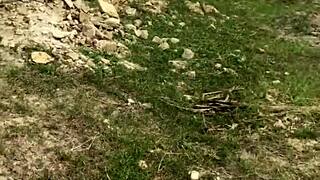 outdoor fun with my husband’s brother at farm